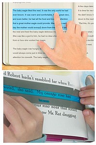 ���� ����� �����