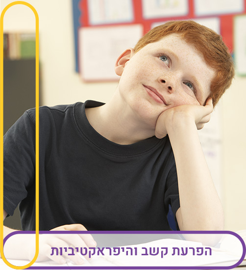 באנר 3
